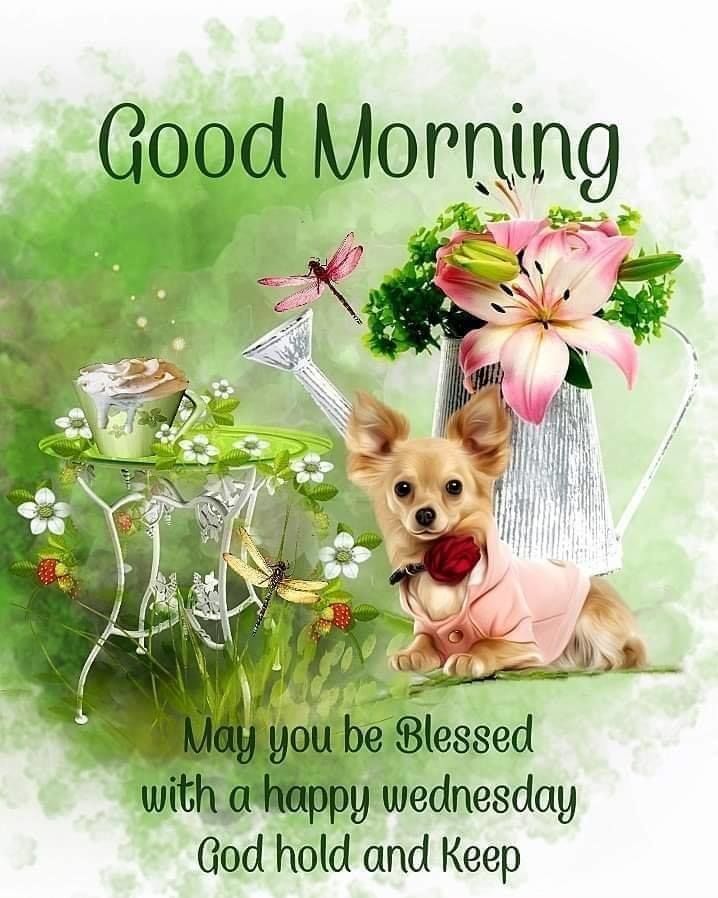 Good Morning Wednesday Pictures God Hold And Keep - Good Morning, Happy Wednesday Pictures, Photos, And  Images For Facebook, Tumblr, Pinterest, And Twitter