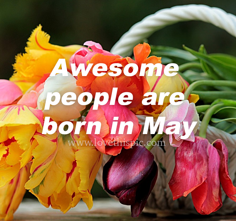 Awesome People Are Born In May Pictures, Photos, and Images for