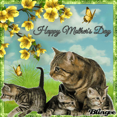 Cute Kittens Happy Mothers Day Pictures, Photos, and Images for ...