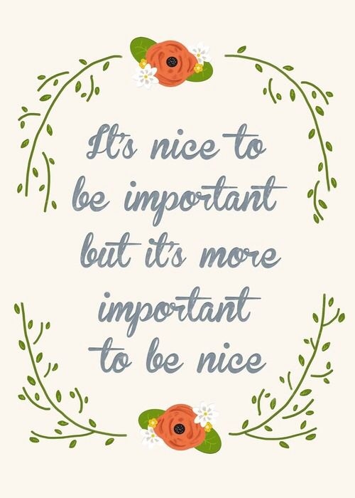 Its more important to be nice Its more important to be nice