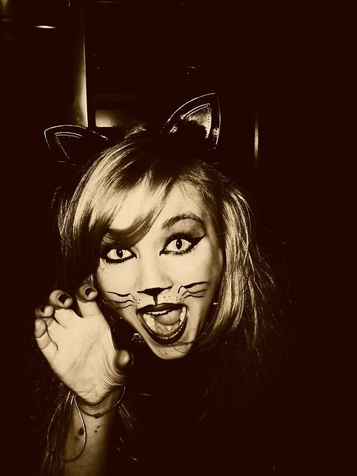 Pretty Kitty Pretty Kitty