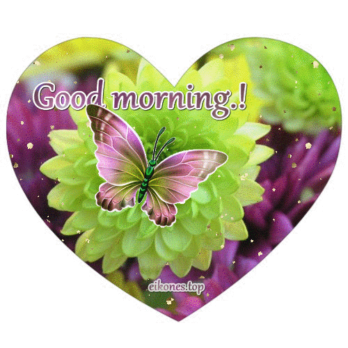 Butterfly Good Morning Heart Gif Pictures, Photos, and Images for Facebook, Tumblr, Pinterest