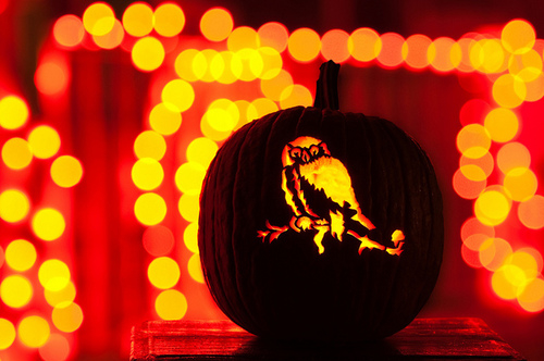 Owl Pumpkin Art Owl Pumpkin Art