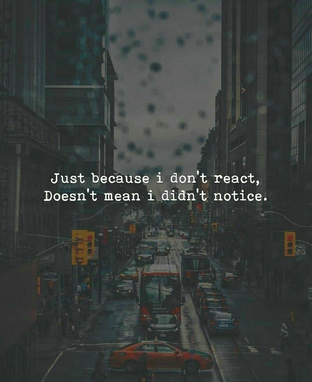 Just Because I Don't React, Doesn't Mean I Didn't Notice Pictures, Photos, and Images for