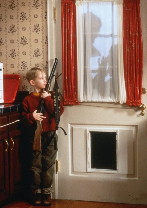 Home Alone Home Alone