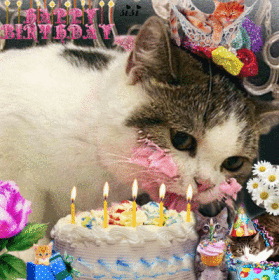 Happy Birthday Cat Eating Cake Cat Eating Birthday Cake Pictures, Photos, And Images For Facebook, Tumblr,  Pinterest, And Twitter