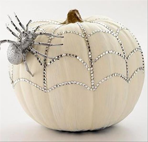 Pretty Spider Pumpkin Pretty Spider Pumpkin
