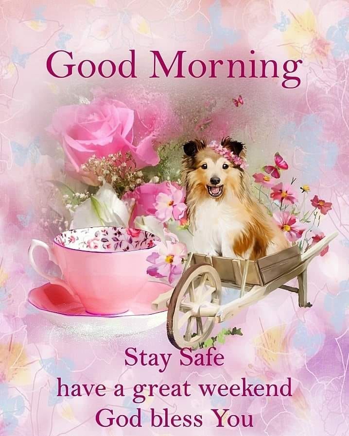 Have A Great Weekend Puppy