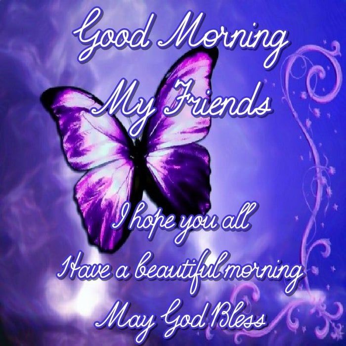 Purple Butterfly Good Morning My Friends Pictures, Photos, and Images