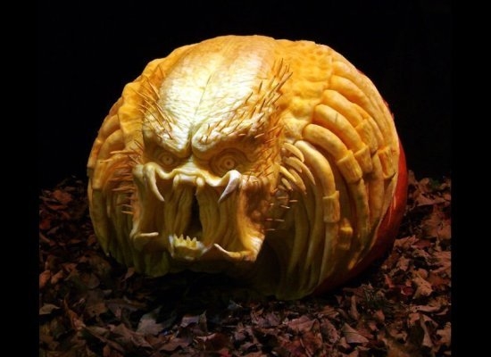 Predator Pumpkin Predator Pumpkin