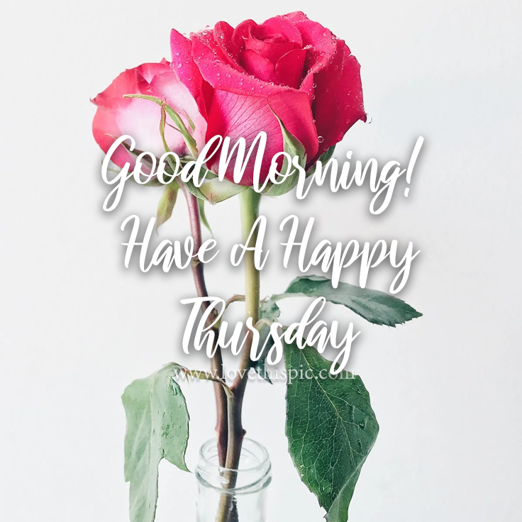 Vase Of Pink Roses Good Morning! Have A Happy Thursday Pictures