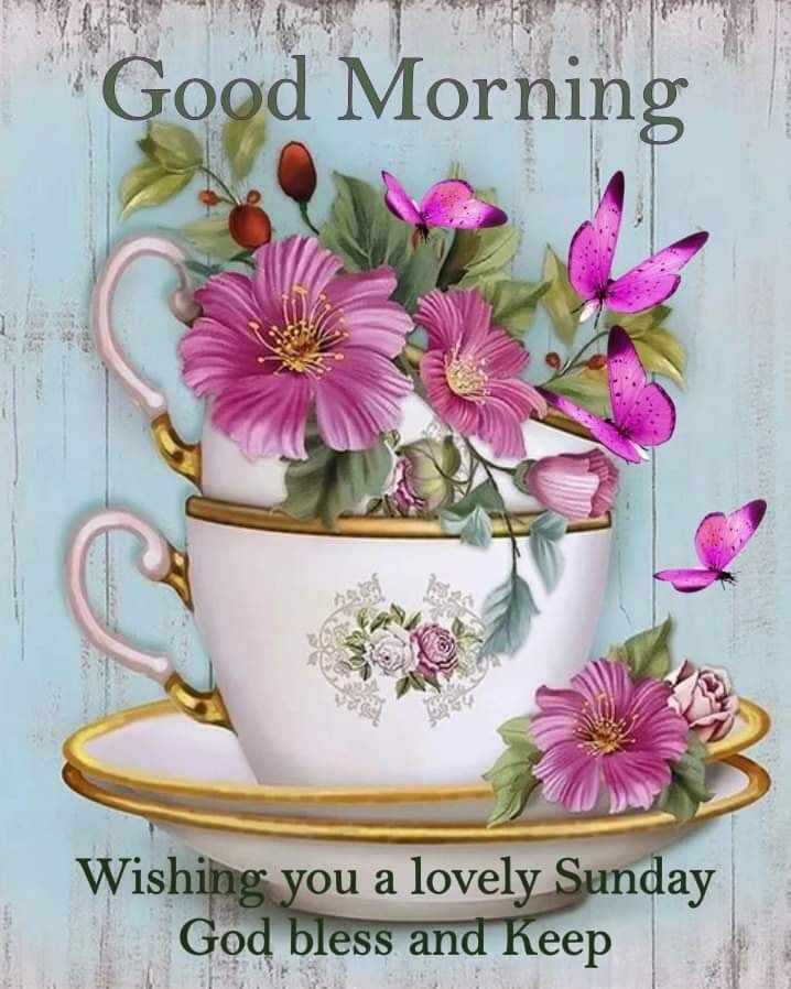 Flowers In Teacup Good Morning Lovely Sunday Pictures, Photos, and Images for Facebook, Tumblr