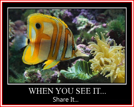 share share