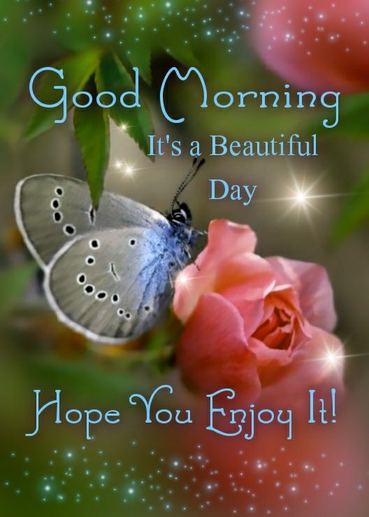 It's A Beautiful Day, Hope You Enjoy It! Good Morning Pictures, Photos