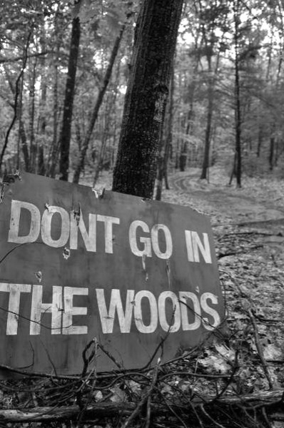 Dont go in the woods
