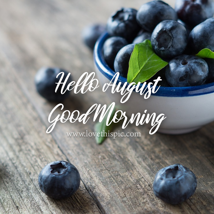 Bowl Of Blueberries Hello August, Good Morning Pictures, Photos, and