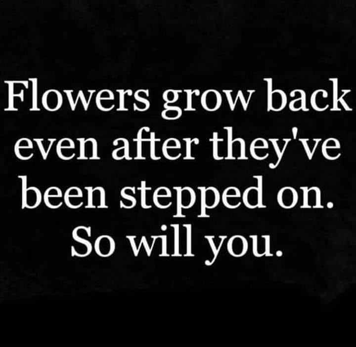 Flowers Grow Back Even After They've Been Stepped On. So Will You
