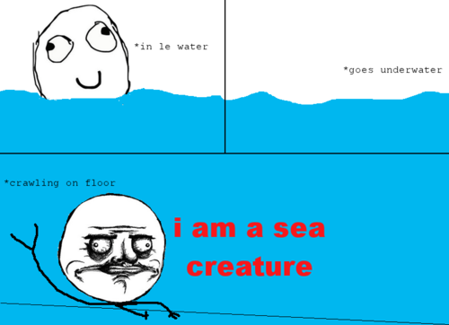 I am a sea creature I am a sea creature