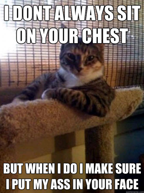I dont always sit on your chest
