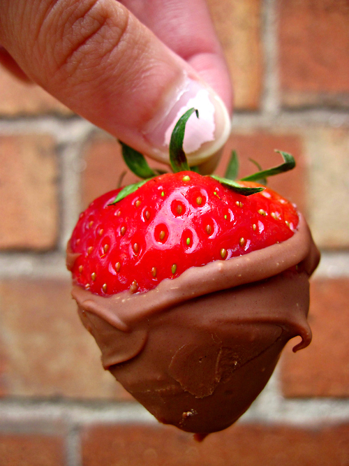 Chocolate covered strawberry Chocolate covered strawberry