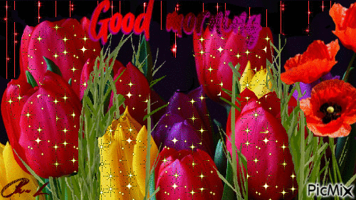 Colorful Tulip Good Morning Gif Pictures, Photos, and Images for