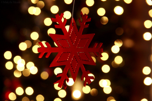 Red snowflake