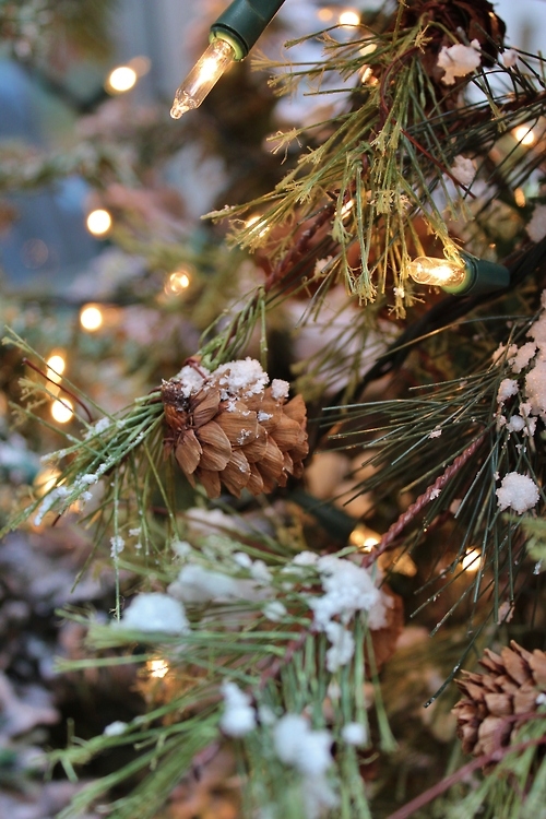 Snow pinecones Snow pinecones