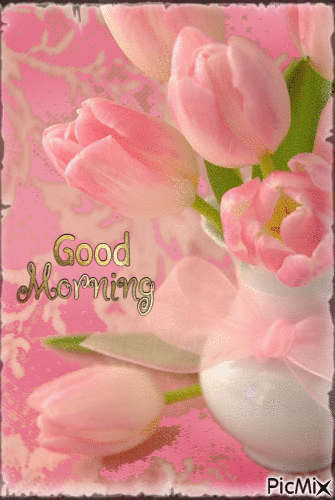 Pink Tulip Good Morning Gif Pictures, Photos, and Images for Facebook