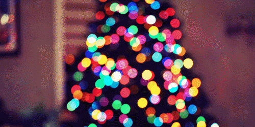 Everything christmas