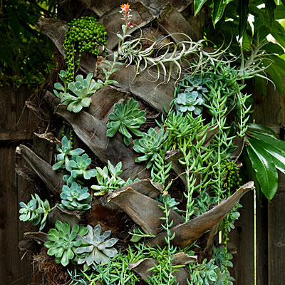 Plant cuttings as decor