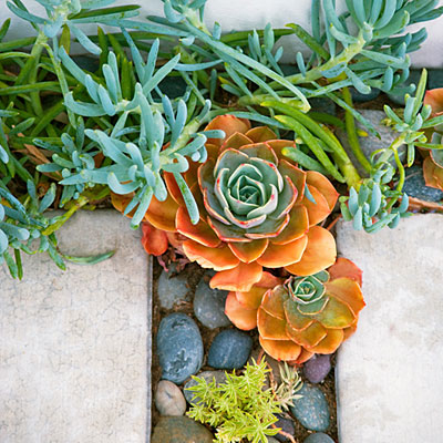 Tidepool