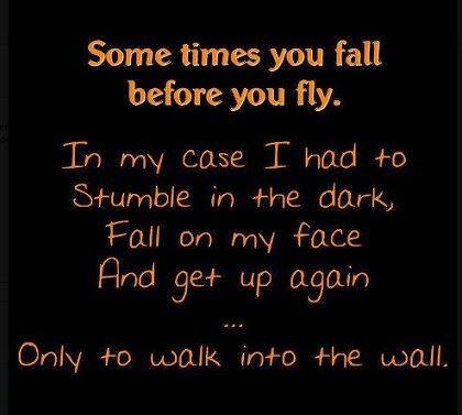 sometimes you fall sometimes you fall