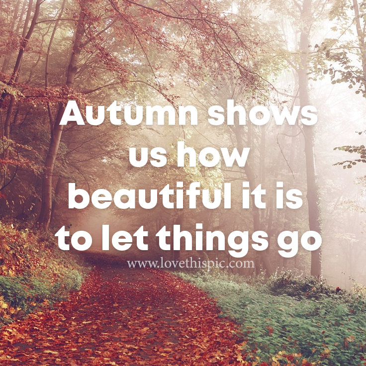Autumn Shows Us How Beautiful It Is To Let Things Go Pictures, Photos ...