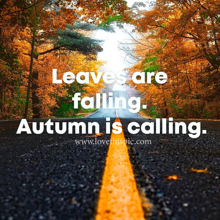 Leaves Are Falling. Autumn Is Calling Pictures, Photos, and Images for