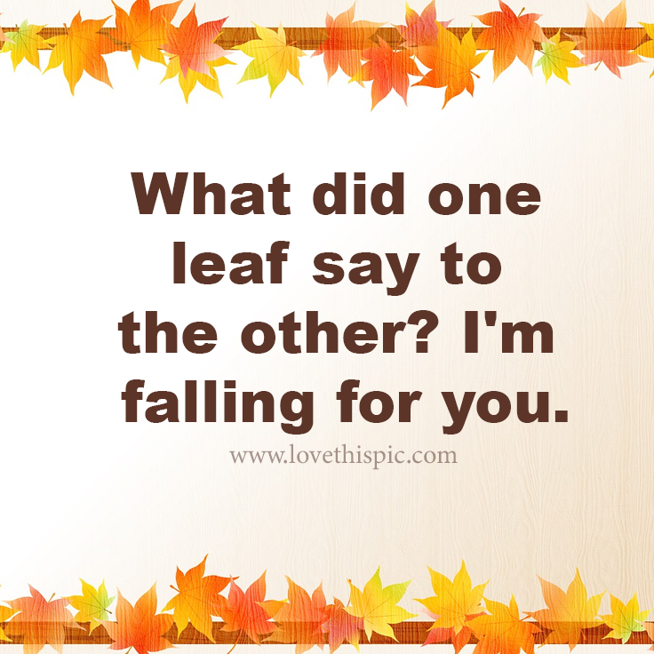 What Did One Leaf Say To The Other? I'm Falling For You. Pictures