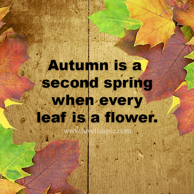 Autumn Is A Second Spring When Every Leaf Is A Flower. Pictures, Photos