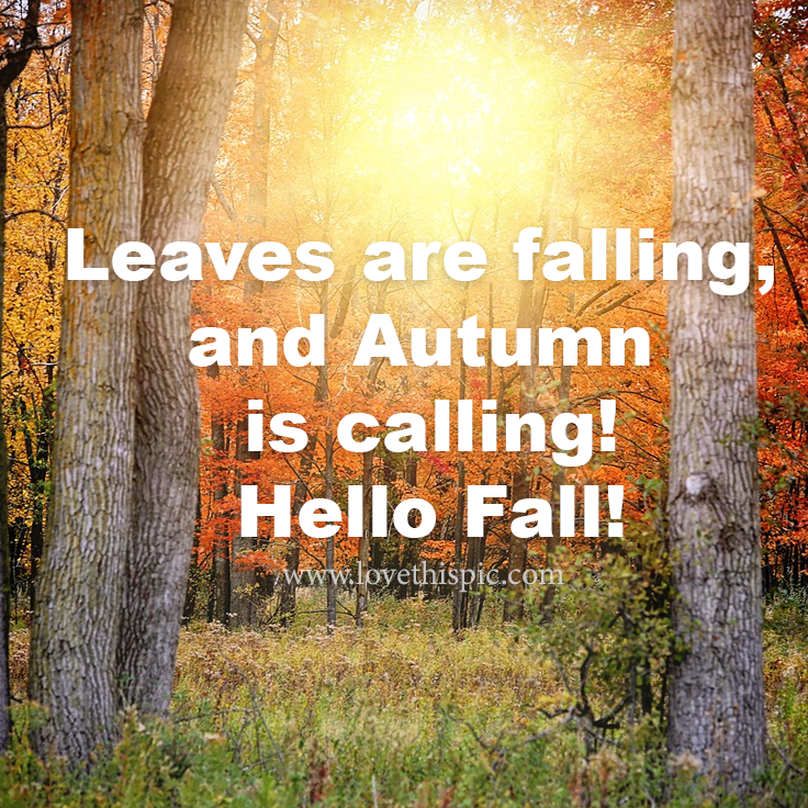 Leaves Are Falling, And Autumn Is Calling! Pictures, Photos, and Images