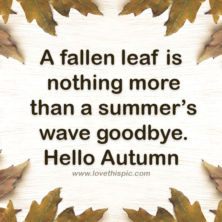 A Fallen Leaf Is Nothing More Than A Summer’s Wave Goodbye. Hello ...