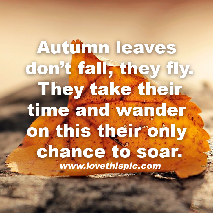 Autumn Leaves Don’t Fall, They Fly. They Take Their Time And Wander On
