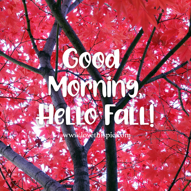 Red Trees Good Morning Hello Fall Pictures, Photos, and Images for