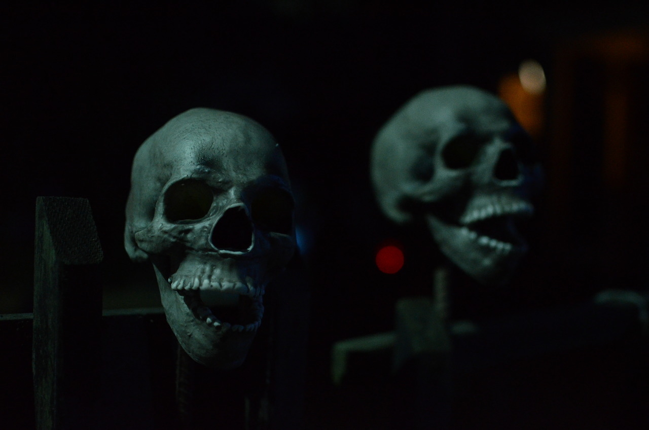 Skulls in the graveyard