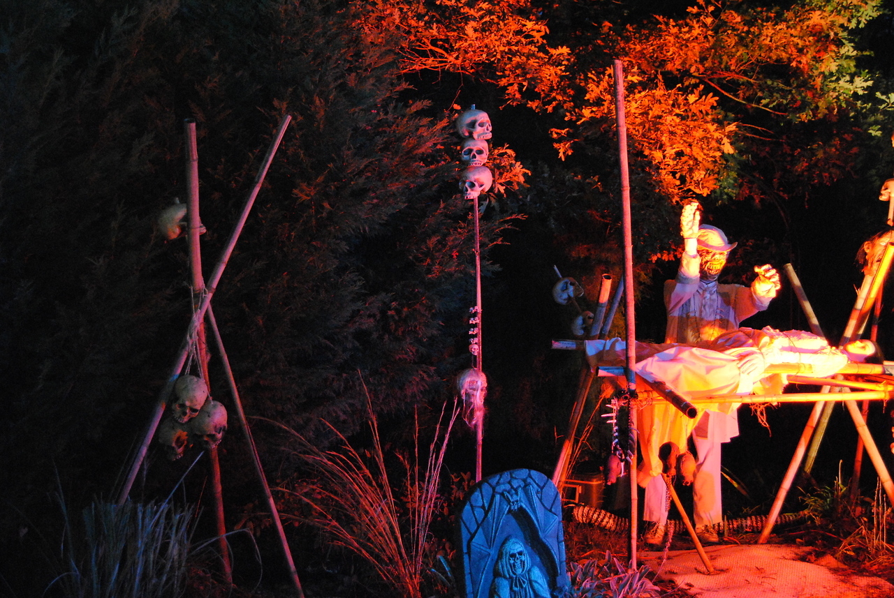 Voodoo Ceremony Voodoo Ceremony