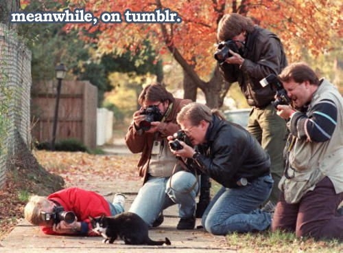 Meanwhile on tumblr Meanwhile on tumblr