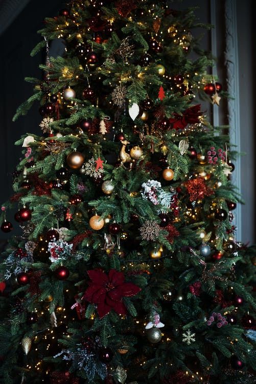Fully Decorated Christmas Tree Pictures, Photos, and Images for