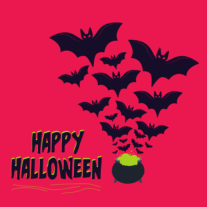 Happy Halloween Bat Quotes Pictures, Photos, and Images for Facebook