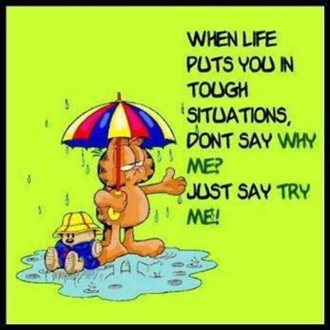 try me try me