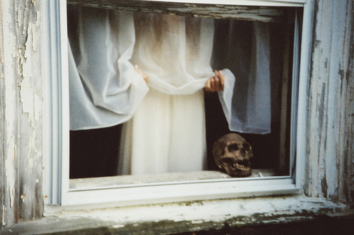 Skull in the window Skull in the window