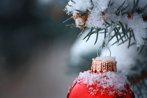 Winter ornaments