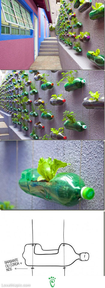 DIY Plastic Bottle Garden DIY Plastic Bottle Garden