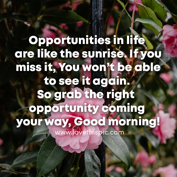 Opportunities In Life Are Like The Sunrise. If You Miss It, You Won’t